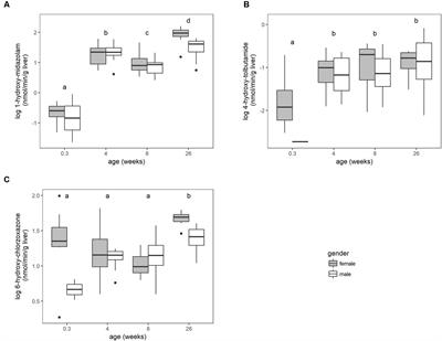 The Ontogeny of Cytochrome P450 Enzyme Activity and Protein Abundance in Conventional Pigs in Support of Preclinical Pediatric Drug Research